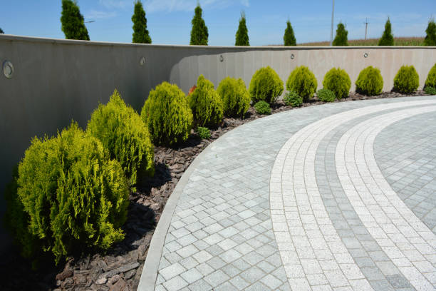 Best Professional Driveway Pavers  in Auburn, CA